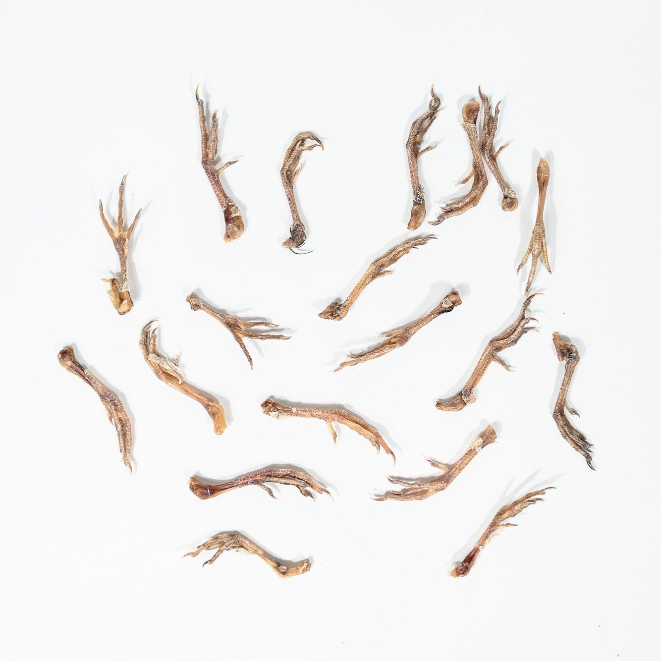 quail chews