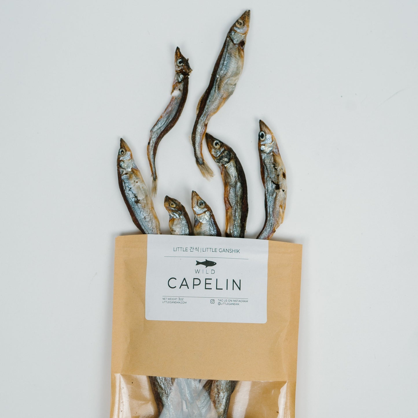 wild capelin